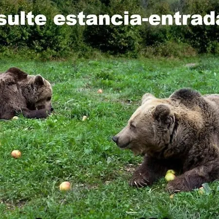 Zentralclub Vatio- Jacuzzi Apartmán Belmonte De Miranda