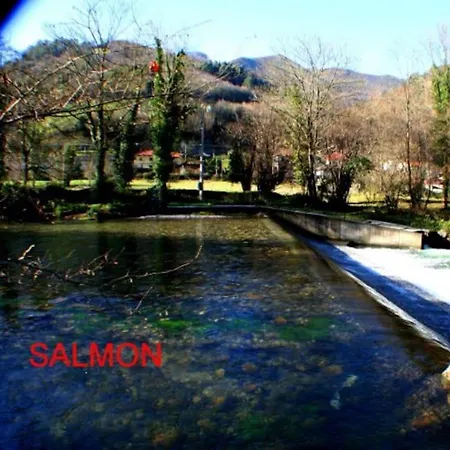 Zentralclub Vatio- Jacuzzi