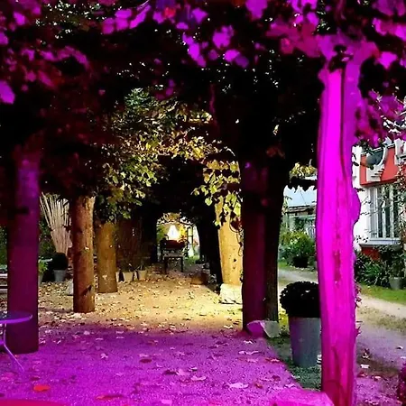 Zentralclub Vatio- Jacuzzi