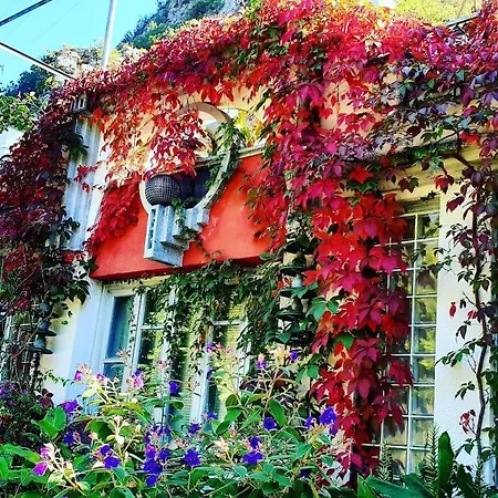 Zentralclub Vatio- Jacuzzi Apartmán Belmonte De Miranda